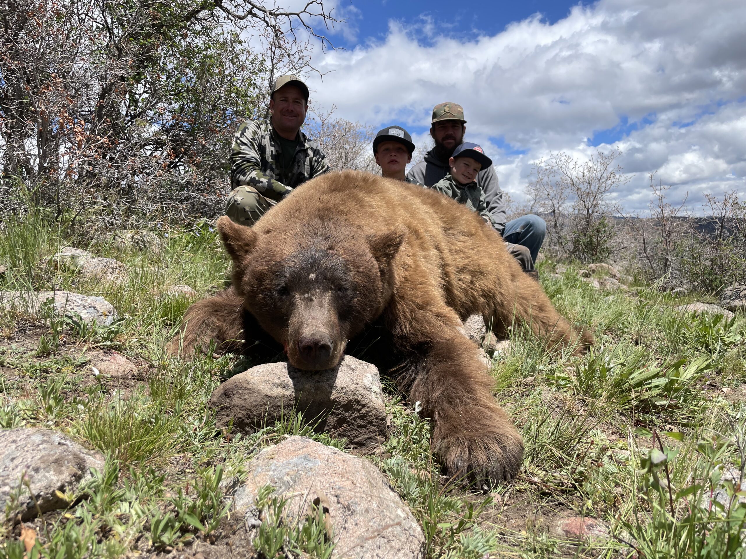 Utah Guided Bear Hunts & Hunting Trips - WLHunting
